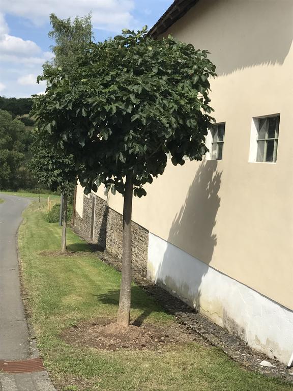 Ferienwohnung Schloessershof Borler Экстерьер фото